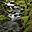 Forest Creeks Free Screensaver icon